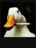 It Looks Just As Stupid When You Do It Cool Duck Smoking by HeatherCWolf Unisex T-shirt, Sweatshirt, Hoodie, Long Sleeve Tee